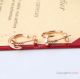 AAA Replica Cartier Juste Un Clou Earrings Nail style for Women (5)_th.jpg
